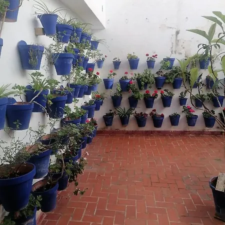 Plaza Mayor 2 Apartment *