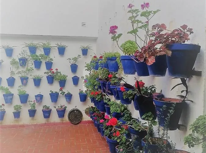 Plaza Mayor 2 * Córdoba