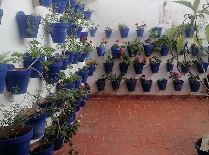 Plaza Mayor 2 Apartmán *