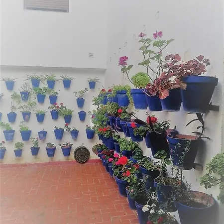 Plaza Mayor 2 * קורדובה